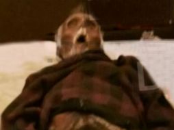 El cadáver se había momificado por estar en un ambiente caliente y seco, según un médico. TOMADA DE dhnet.be  /