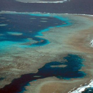 Elaboran el primer mapa digital de la Gran Barrera de Coral