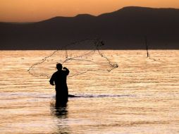 La agricultura, pesca, caza, entre otras actividades, dispararon la tasa de crecimiento a corto plazo. ARCHIVO /