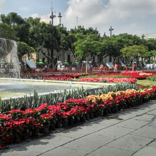 Inauguran Expo Flores de Jalisco