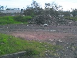 Construcción de pavimento de concreto hidráulico en la colonia Jardines de la Vigía.  /