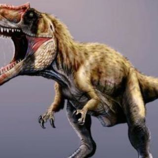 Descubren fósil de dinosaurio carnívoro gigante en EU