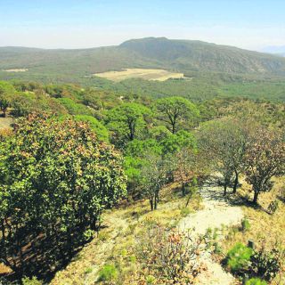 El Ejecutivo destinará 36 centavos de cada 100 pesos a la Semadet