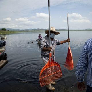 Capacitan a técnicos del IAPEJ en sanidad e inocuidad