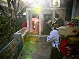 Las brigadas contra el mosquito que propaga la enfermedad son insuficientes si no se atienden las medidas preventivas. ARCHIVO /