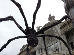 'Maman' una araña de bronce de 10 metros, forma parte de la exhibición de Bourgeois. EFE /