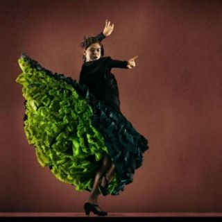 Flamenco en movimiento, la apuesta de Carola Zertuche