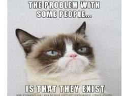 En este meme, la gatita dice 'El problema con algunas personas... es que existen'. Tomada de @RealGrumpyCat  /
