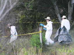 Ayer fueron localizados dos cuerpos más. Las autoridades continuarán con los peritajes ante la sospecha de que hay más cuerpos.  /