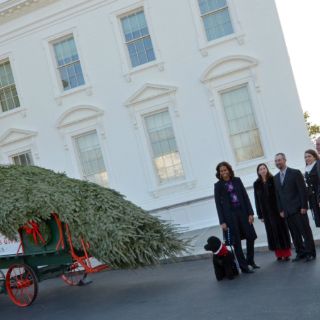 Las Obama reciben el árbol de Navidad