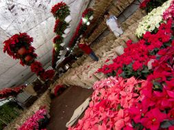 El frío sigue en gran parte del país. La temporada navideña se hace presente en cada rincón. NTX /