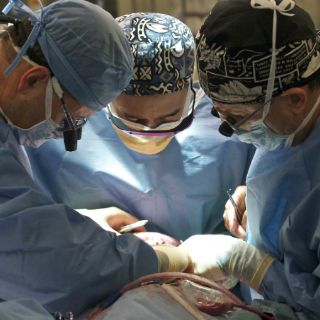 El IMSS Jalisco suma 247 trasplantes renales en 2013