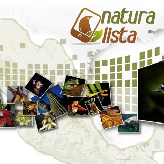 Despiertan al naturalista que llevamos dentro