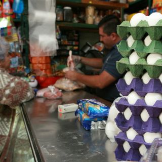 Avicultores se recuperan; precio del huevo no