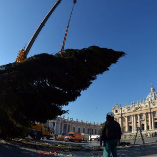 El Papa Francisco recibe su primer árbol navideño en el Vaticano