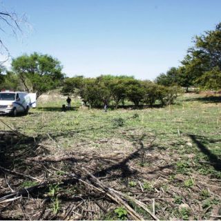 Tres homicidios este viernes en el estado