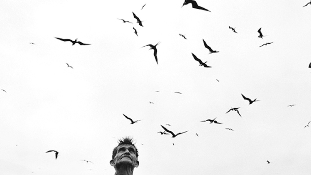 Los pájaros de Graciela Iturbide en un libro | El Informador
