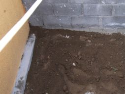 Desconocen las cifras, están esperando todo el reporte ya que son osamentas, no son actos recientes. ARCHIVO /