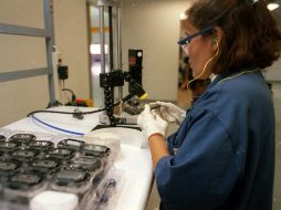 El nuevo dispositivo es una nueva alternativa de tratamiento para millones de pacientes.  /