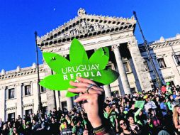 El Gobierno de José Mujica prepara ya la reglamentación de la nueva Ley, la cual estará lista a más tardar en abril próximo.  /