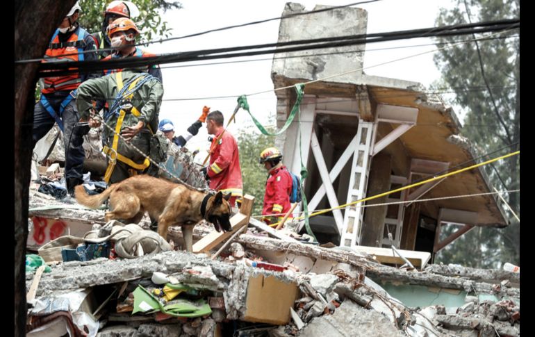 Las labores de búsqueda y rescate continuarán hasta agotar todas las posibilidades.