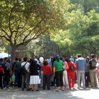 Murales de Diego Rivera cobran vida en el Bosque de Chapultepec
