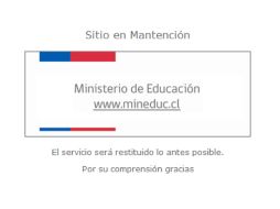 El sitio se encuentra en mantención para ser restituido 'lo antes posible'. ARCHIVO /
