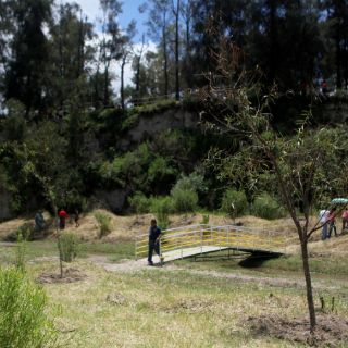 Ni una invasión más en Colomos III: Aristóteles