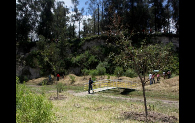 Existe una iniciativa para convertir al Bosque Pedagógico del Agua en Área Natural Protegida. ARCHIVO /
