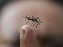 El 35% de los casos reportados son de municipios de la ZMG. ARCHIVO /