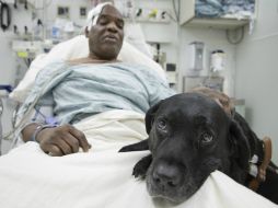 El hombre cayó a las vías poco antes de la llegada del tren en la estación de la calle 125 de Manhattan. AP /