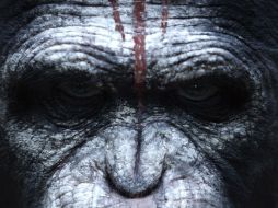 La cadena 20th Century Fox estrena el primer avance de la película 'El Planeta de los Simios: Confrontación'. ESPECIAL /