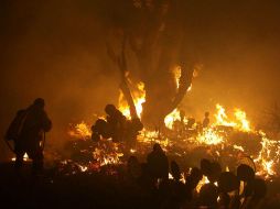 Indican que las principales causas de incendios están relacionados con la quema agropecuaria. ARCHIVO /