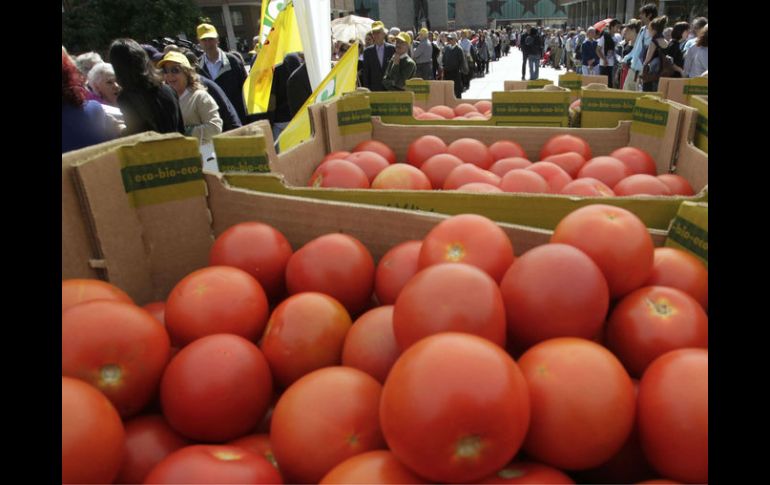 el precio del jitomate en varias de sus presentaciones elevó su precio ARCHIVO /