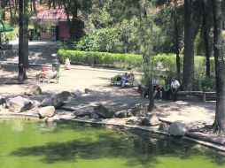 El Bosque Los Colomos ofrece varias actividades para toda la familia.  /