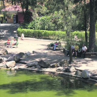 A gozar en Colomos...