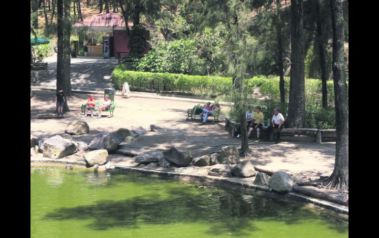 El Bosque Los Colomos ofrece varias actividades para toda la familia.  /