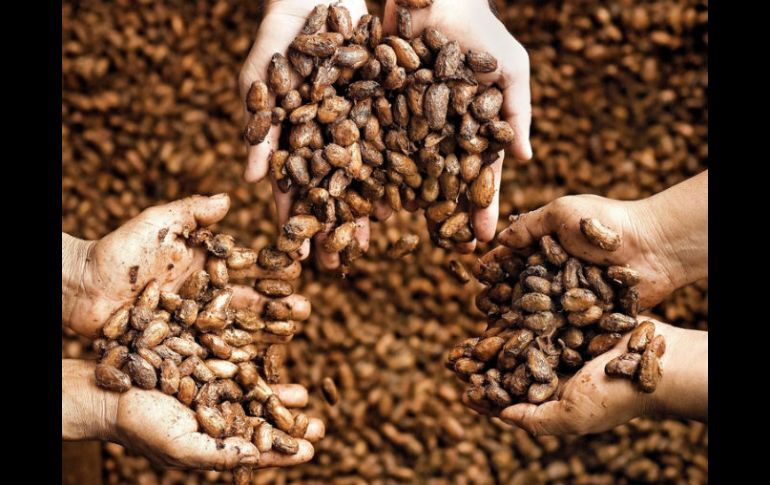 La semilla de 'El Nuevo Mundo' subió mucho este año, un 25 por ciento, en los mercados de Londres y Nueva York. ARCHIVO /