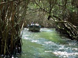 De cara al oceáno Pacífico se encuentra este puerto en el que se disfruta unas buenas y placenteras vacaciones.  /