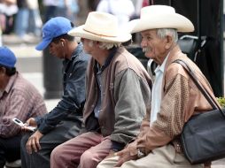 En la entidad hay en total 361 mil 546 personas con 65 años o más sin jubilación y pensión  /
