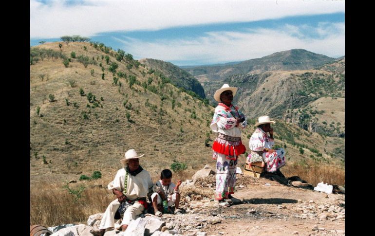El sustento del hombre se basa en la naturaleza, el creciemiento desmedido de ciudades hace que se terminen los recursos ARCHIVO /