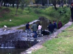 Se cree que el hombre de 75 años de edad cayó accidentalmente al canal, pero continúan investigando.  /