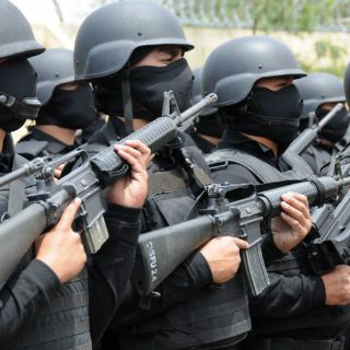 La Segob publica acuerdos del Consejo de Seguridad Pública