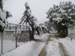 La mayoría de las comunidades ejidales de Arteaga amanecieron bajo un manto blanco provocado por la nevada. Foto: @AdrianHerrera. ESPECIAL /