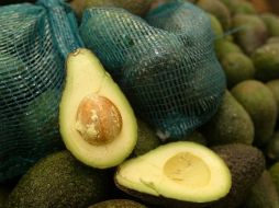 Afirman que la zona sur de Jalisco es la principal productora de aguacate en el estado. ARCHIVO /