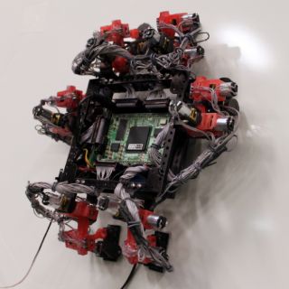 Robots trepadores de la ESA funcionarían en el espacio