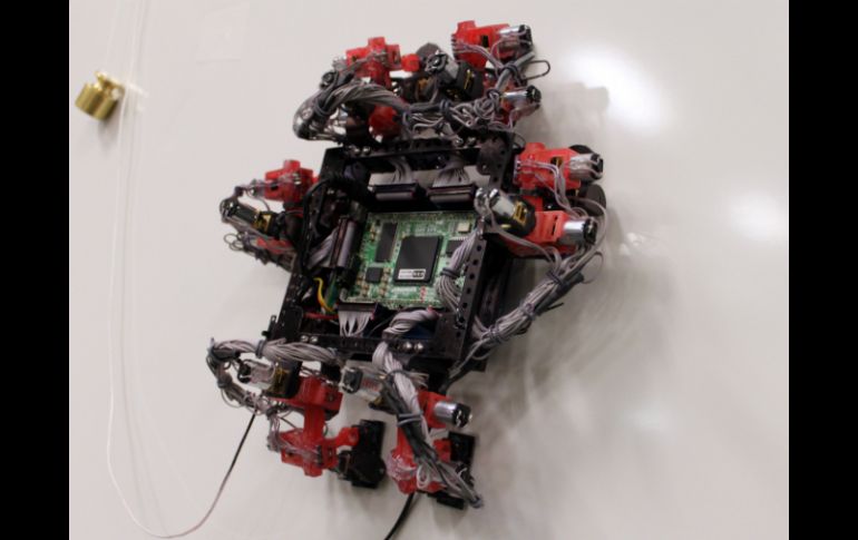 El prototipo de robot Abigail, equipado con 'seis piernas' mecánicas que le procuran 'cuatro grados de libertad'. AFP /