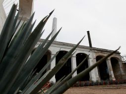 Tequila forma parte de los cinco pueblos mágicos del Estado. NTX /