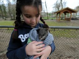 Esperan que los padres inculquen a sus hijos el buen cuidado a sus mascotas. AP /