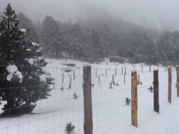 La nieve varió en 30, 50 y hasta 80 centímetros en algunos sectores del estado. ARCHIVO /